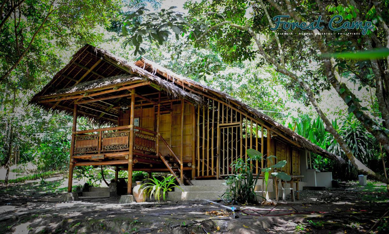 Forest Camp Resort Valencia  Exterior photo
